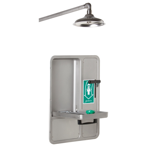 Haws 8356WCW Eye/Face Wash and Shower, Ceiling-Mount-(Each)