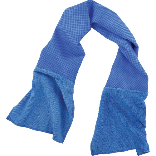Ergodyne 12490 Chill-Its 6604 Multi-Purpose Cleaning and Cooling Towel, Blue-(Each)