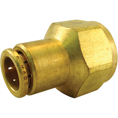 Dominion D7066-4A P.t.c. Female Connector-(Each)