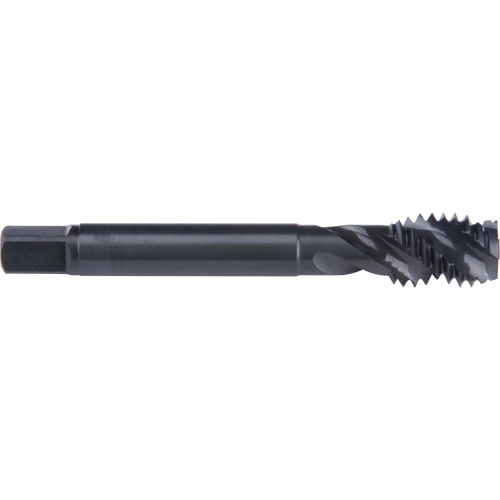 Dormer 5974046 45° Spiral Flute Tap, High Speed Cobalt, 6-32 Thread, 2" L - (Each)