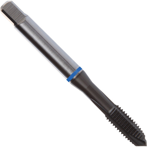 Dormer 7350279 Blue Shark Spiral Point Tap, High Speed Cobalt, 6-32 Thread, 2.205" L-(Each)