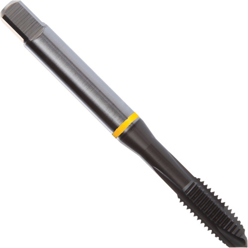 Dormer 7350470 Yellow Shark Spiral Point Tap, High Speed Cobalt, 6-32 Thread, 2.205" L-(Each)