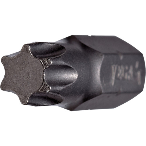 Vega Tamper Insert Bit  (Each)-Click on options for variations & Details.