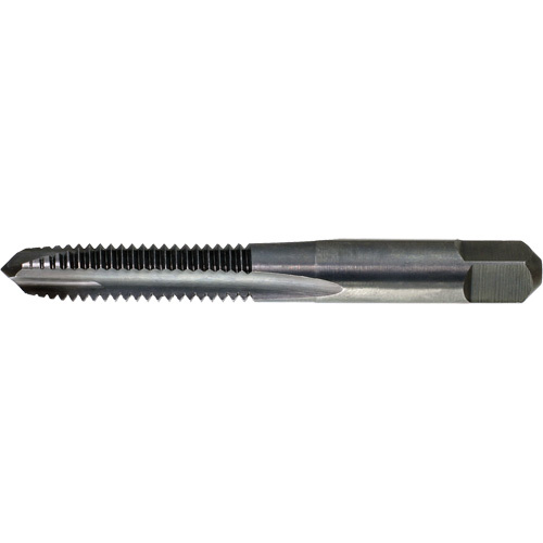 Drillco 21A116CP Drillco Spiral Point Tap, High Speed Steel, 1/4"-20 Thread, 2-1/2" L-(Each)