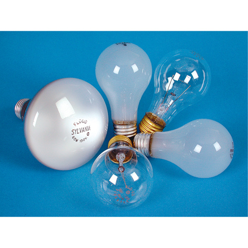 Sylvania  10645  Incandescent Lamps - Long Life - Pack of 4