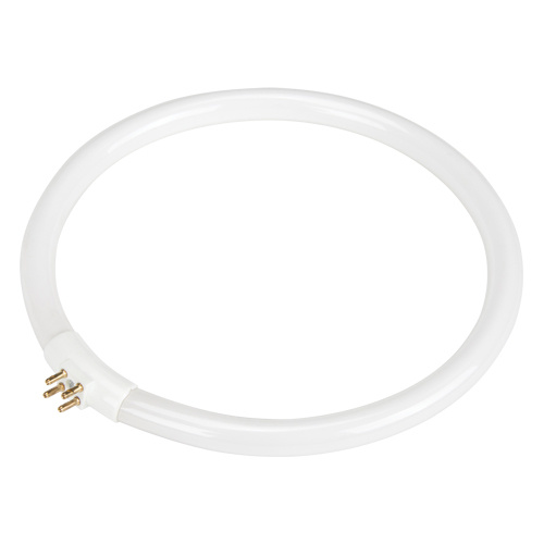 Dainolite Ltd  FCT422-CW  Replacement Fluorescent Bulb for Rhinomag Illuminated Magnifiers, 22 W - Each