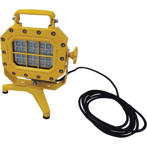 Lind Equipment XP970LED-FS Explosion Proof Floodlight with Stand, LED, 40 W, 5600 Lumens, Aluminum Housing-(Each)