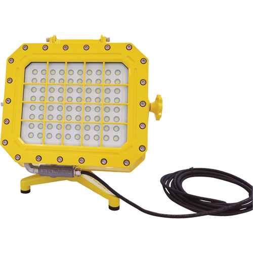 Lind Equipment XP980LED-FS Explosion Proof Floodlight with Floor Stand, LED, 40 W, 5600 Lumens, Aluminum Housing-(Each)