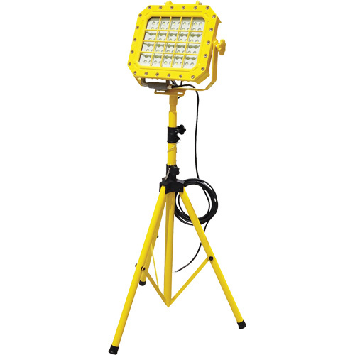 Lind Equipment XP980LED-TR Explosion Proof Floodlight with Tripod, LED, 40 W, 5600 Lumens, Aluminum Housing-(Each)