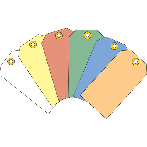 Coloured Blank Tags, Cardstock, 2-5/8" W x 5-1/4" H-(Box of 1000)
