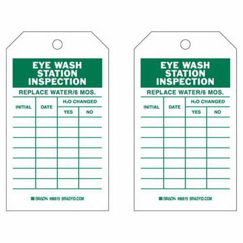 Brady  86619  Inspection Record Tags, Polyester, 4" W x 7" H, English - Pack of 10