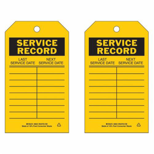 Brady 86625 Material Control Tags, Polyester, 4" W x 7" H, English-(Pack of 10)