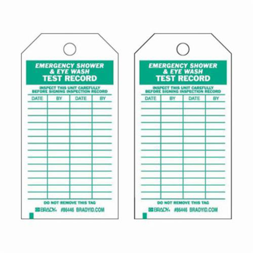 Brady 86446 Test Record Inspection Tags, Polyester, 3" W x 5-3/4" H, English-(Pack of 10)