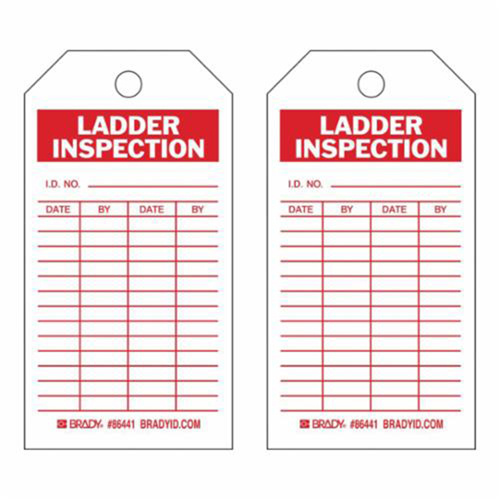 Brady 86441 Inspection Record Tags, Polyester, 3" W x 5-3/4" H, English-(Pack of 10)