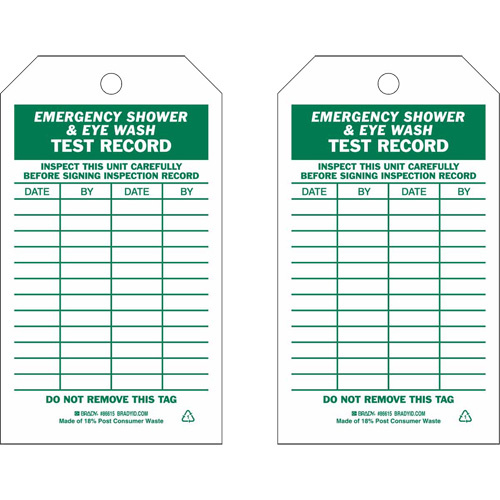 Brady 86670 Test Record Inspection Tags, Paper, 3" W x 5-3/4" H, English-(Pack of 100)