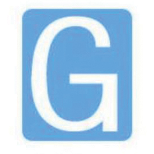 Brady  5080P-G  Quick-Align<sup>?</sup> Individual Gothic Number and Letter Labels, G, 2" H, White - Pack of 10