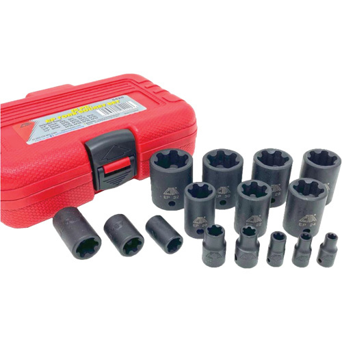 CTA 5420 EP "Star" Plus Socket Set, 15 Pieces, 1/4"/3/8"/1/2" Drive Size - (Each)