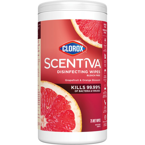 Clorox 10055500559876 Disinfecting Wipes, 75 Count - (Case of 6)