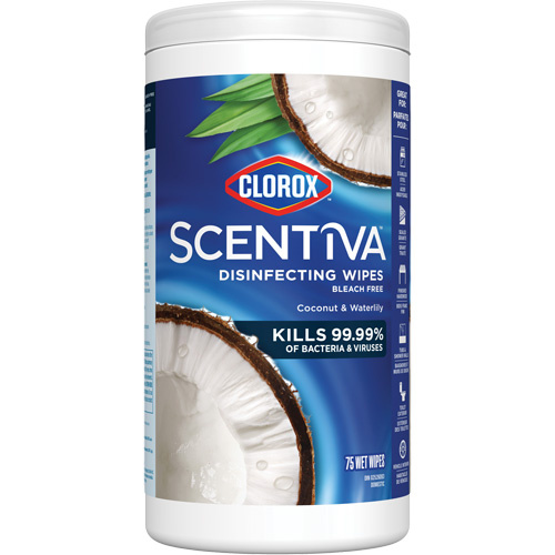 Clorox 10055500559883 Disinfecting Wipes, 75 Count - (Case of 6)