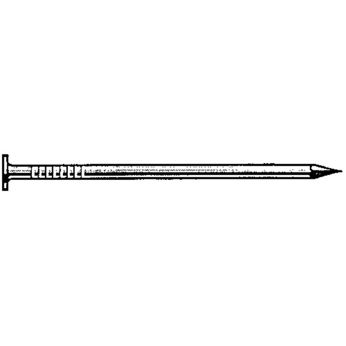 Duchesne 23622169 Common Hot Dip Galvanized Nails- (Box of 300)